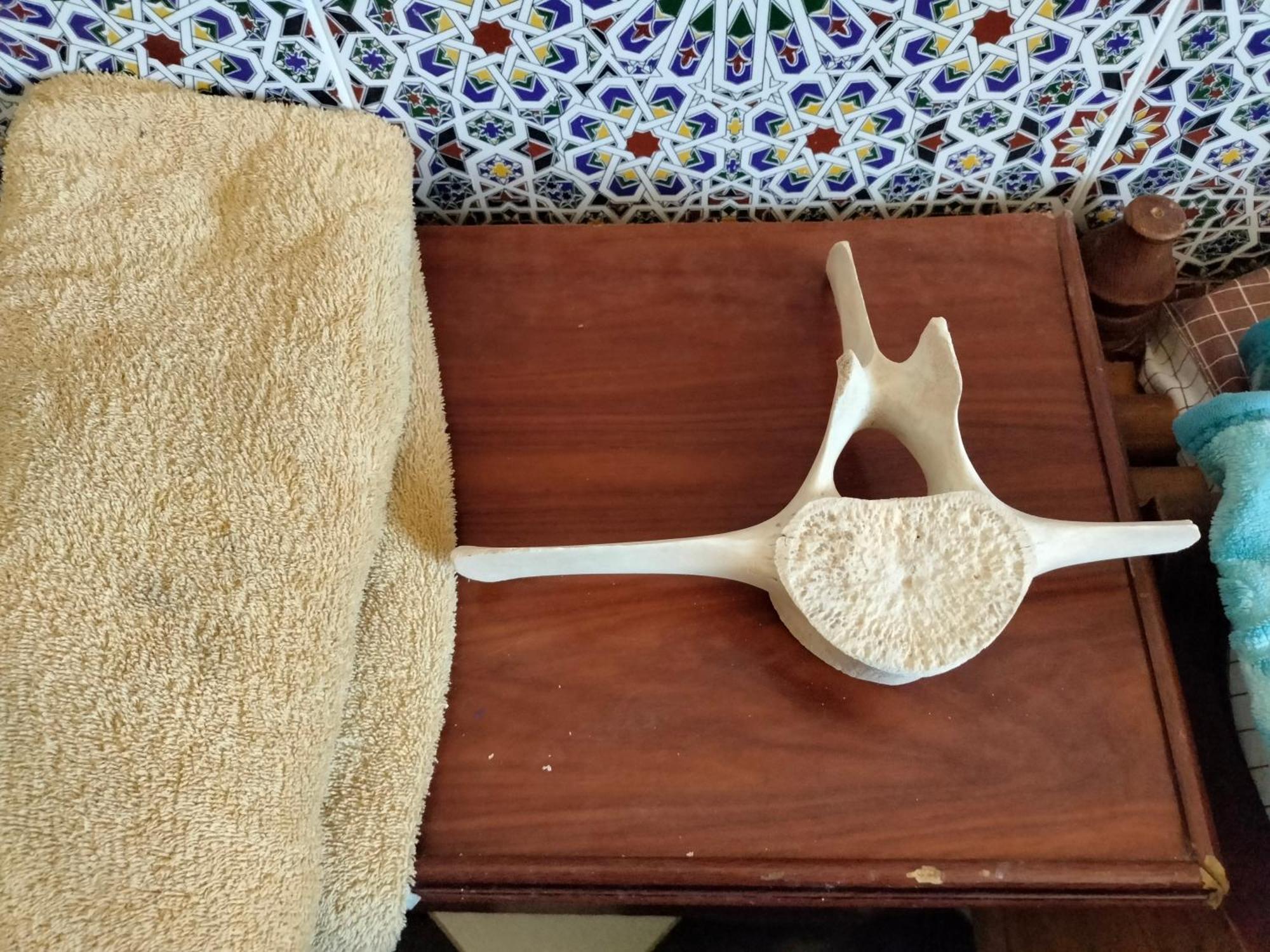 Hotel El Ghazi Tarfaya Bagian luar foto