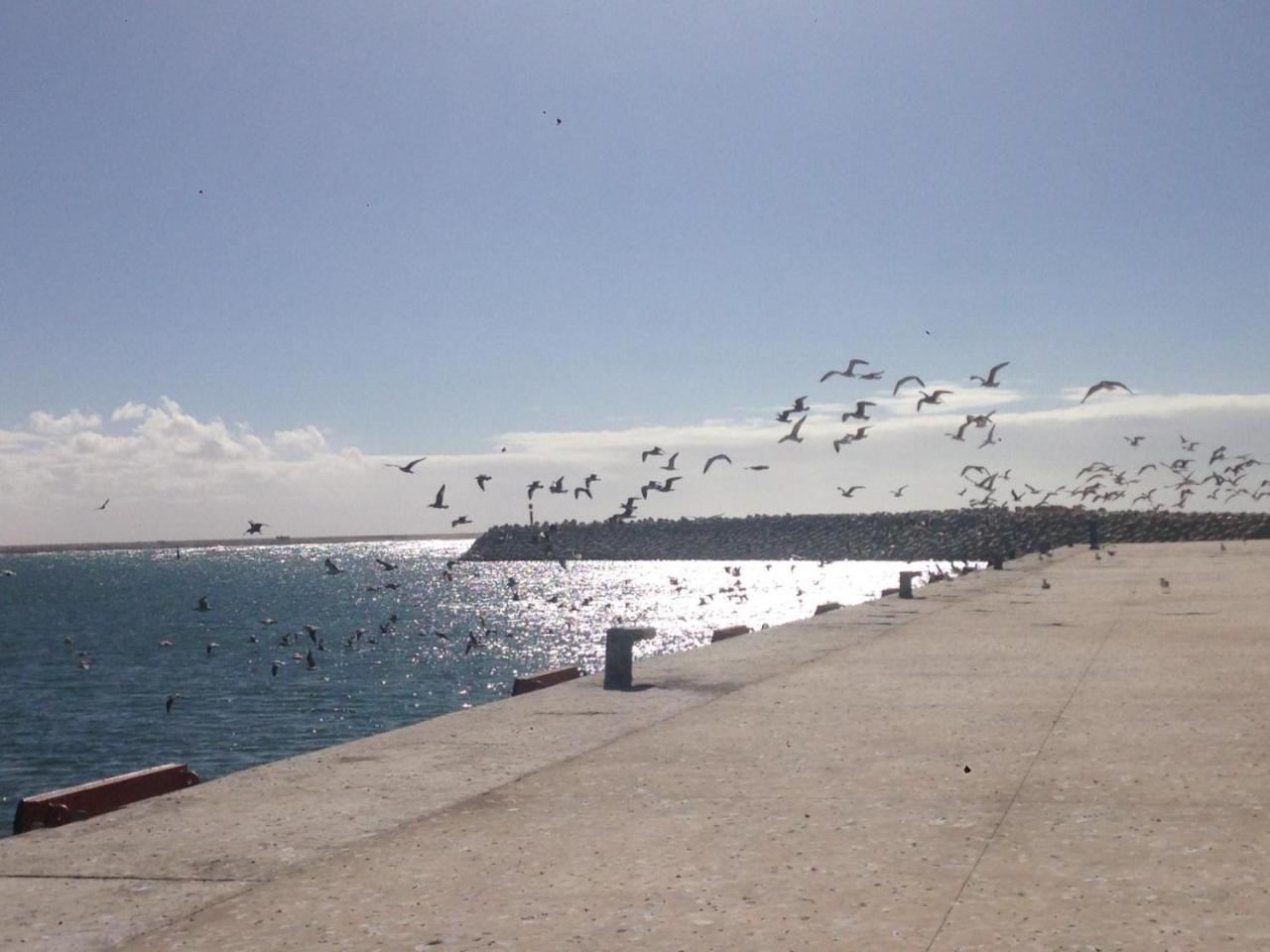 Hotel El Ghazi Tarfaya Bagian luar foto